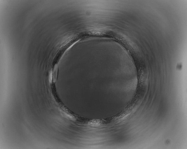 X0000099300076200805161359