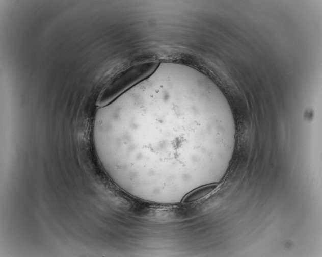 X0000099300078200805161359