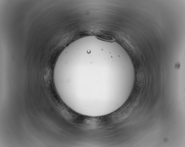 X0000099300079200805161359