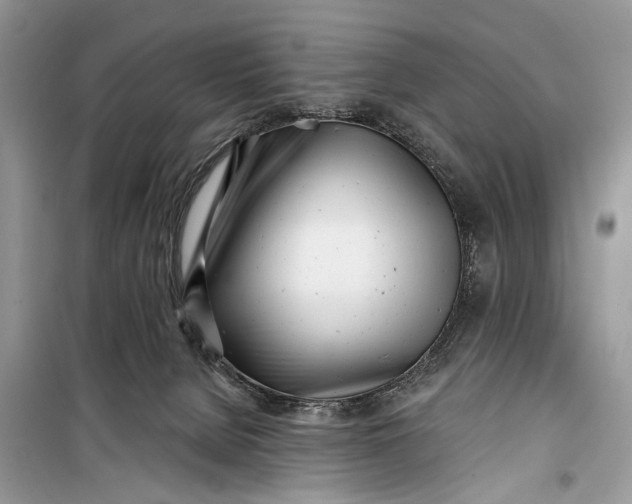 X0000099300080200805161359