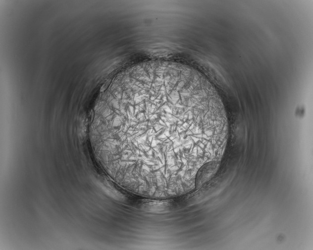 X0000099300081200805161359