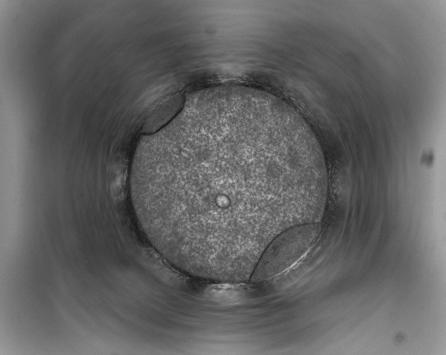 X0000099300082200805161359