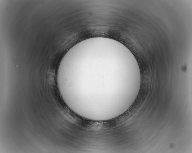 X0000099300083200805161359