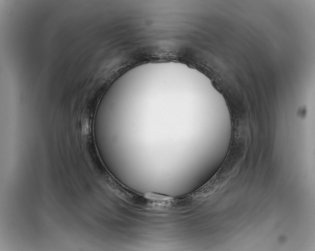 X0000099300084200805161359