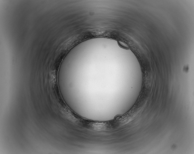 X0000099300085200805161359