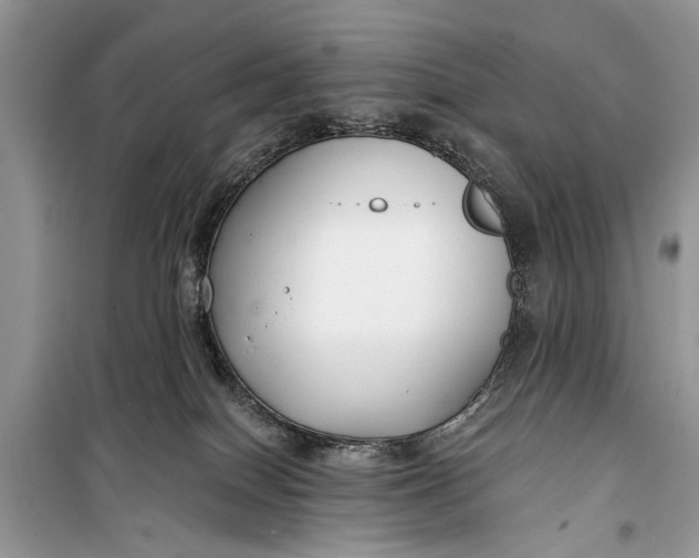 X0000099300086200805161359