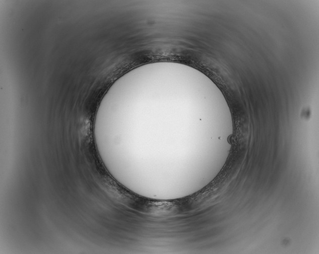 X0000099300087200805161359