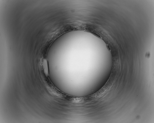 X0000099300088200805161359