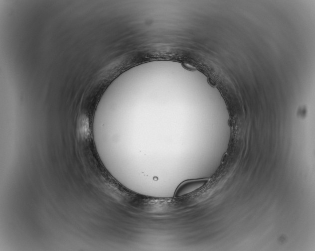 X0000099300089200805161359