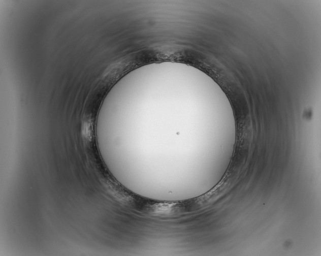 X0000099300090200805161359