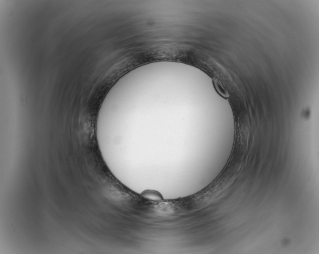 X0000099300091200805161359