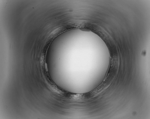 X0000099300092200805161359