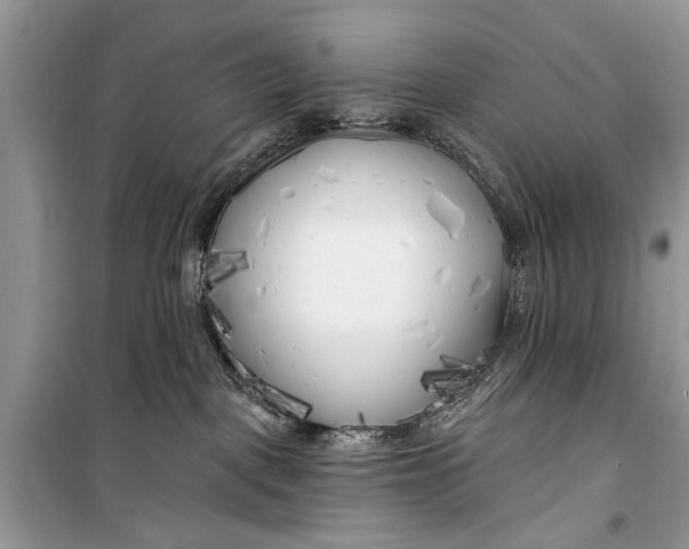 X0000099300093200805161359