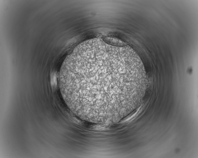 X0000099300094200805161359