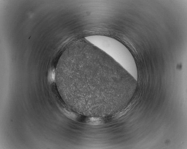 X0000099300095200805161359