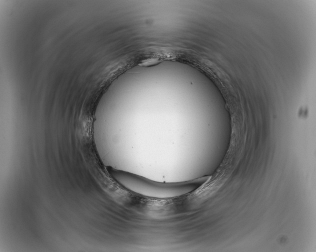 X0000099300096200805161359