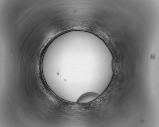 X0000099300098200805161358