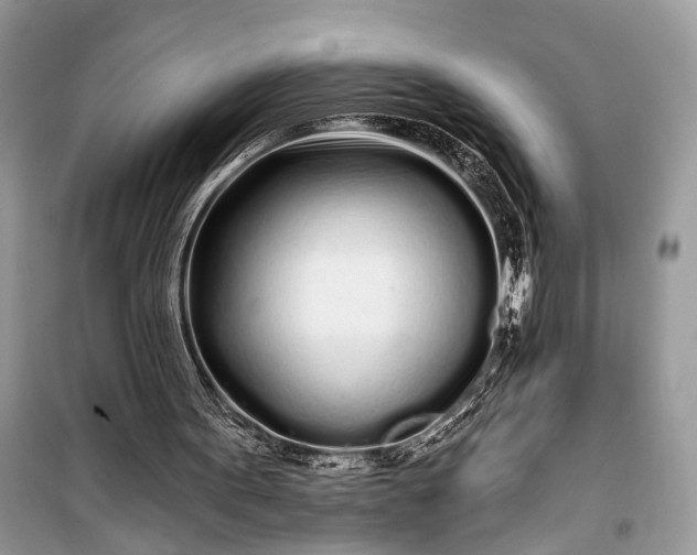 X0000099300099200805161358