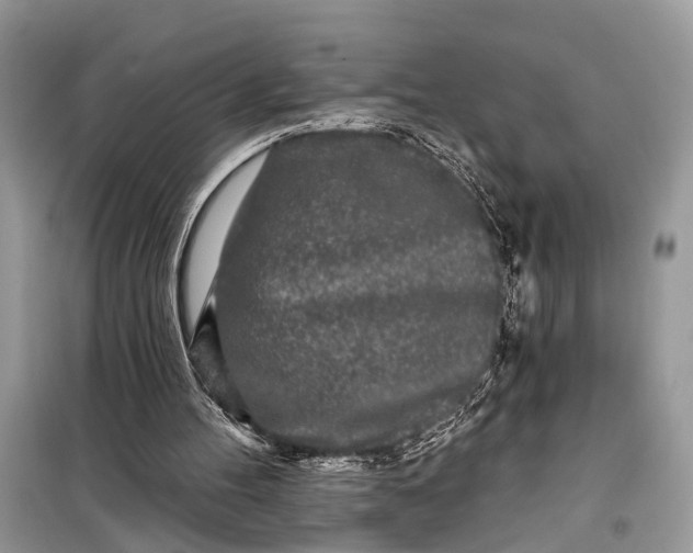 X0000099300100200805161358