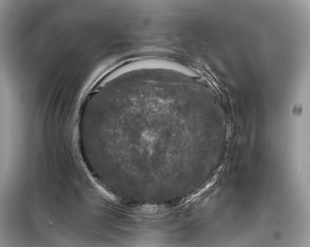 X0000099300101200805161358