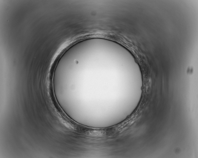 X0000099300102200805161358