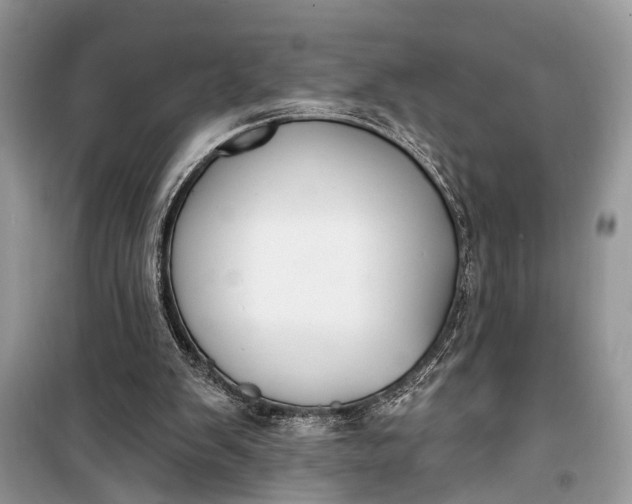 X0000099300103200805161358