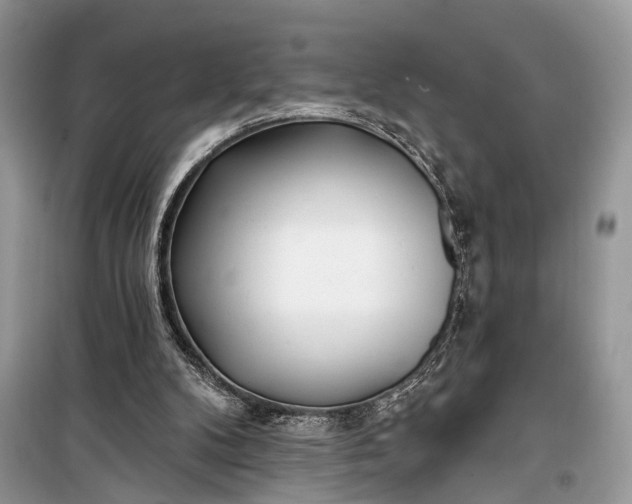 X0000099300104200805161358