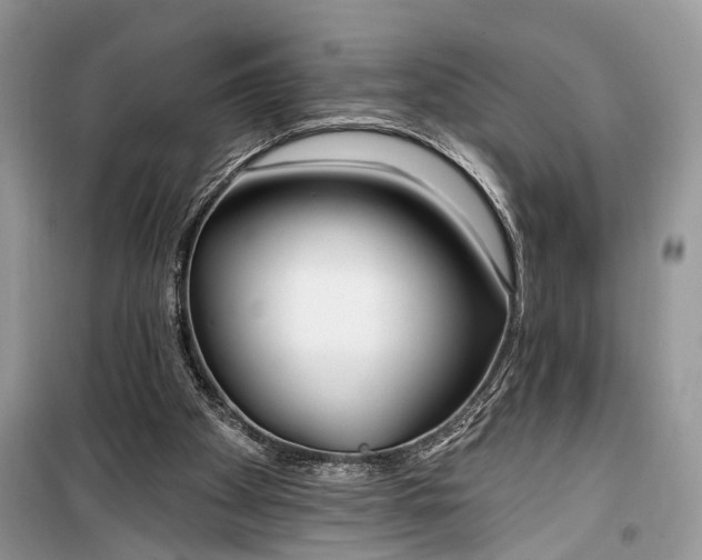 X0000099300105200805161358