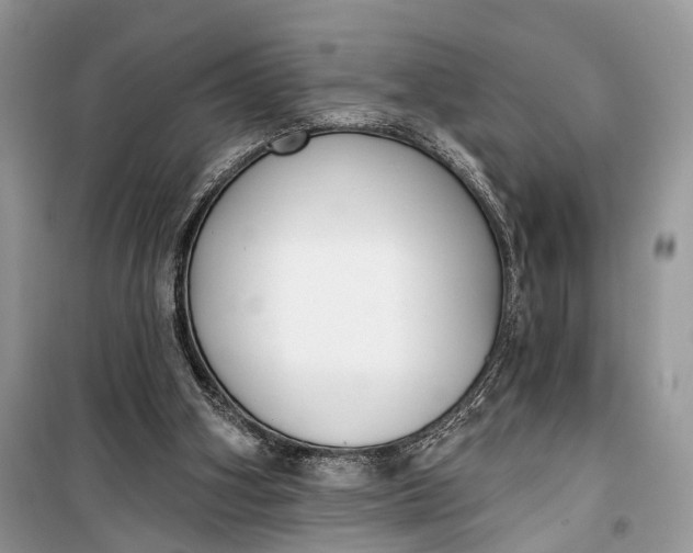 X0000099300106200805161358