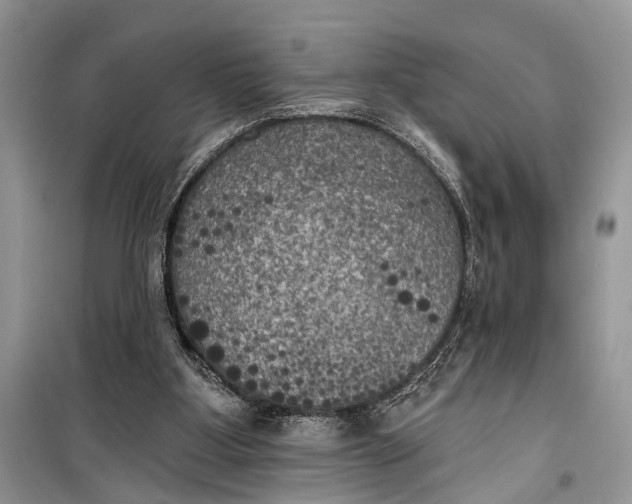 X0000099300107200805161358