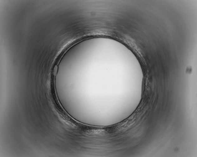 X0000099300108200805161358