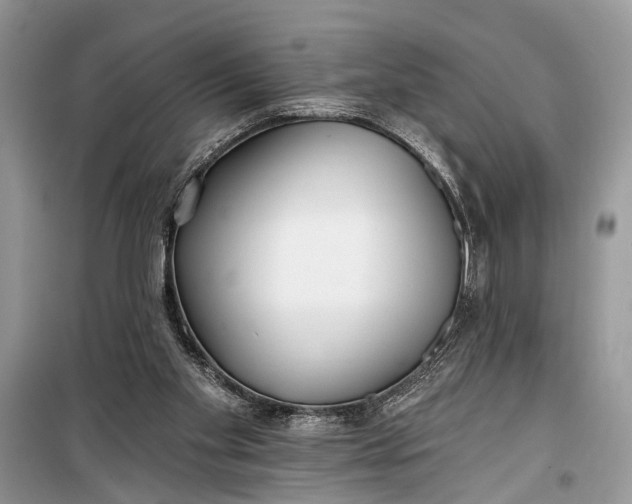 X0000099300109200805161358