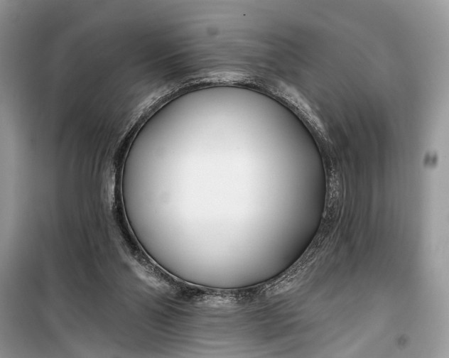 X0000099300110200805161358