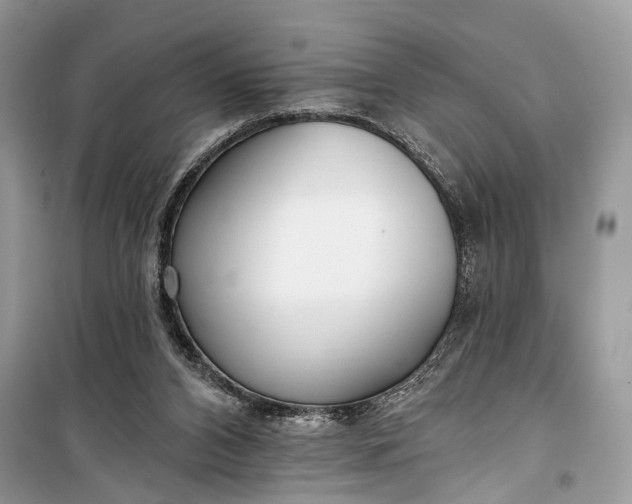 X0000099300112200805161358