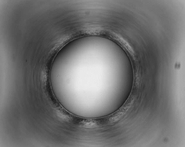 X0000099300113200805161358