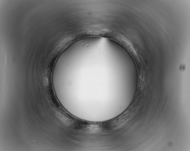 X0000099300114200805161358