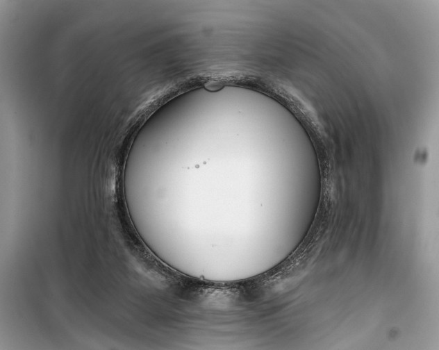 X0000099300115200805161358