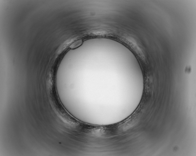 X0000099300116200805161358