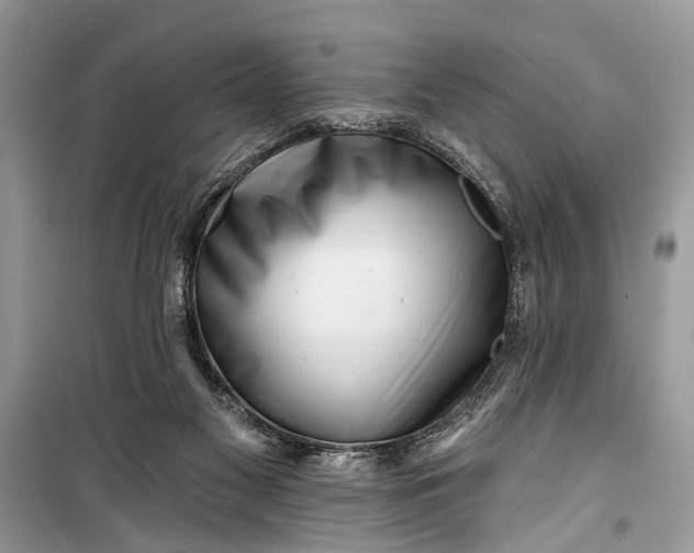 X0000099300117200805161358