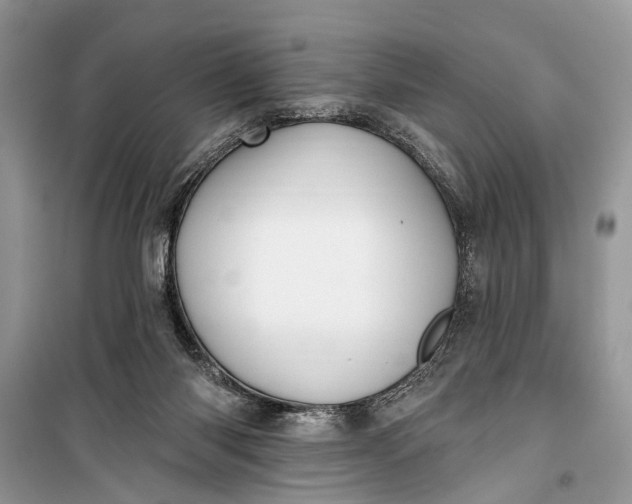 X0000099300118200805161358