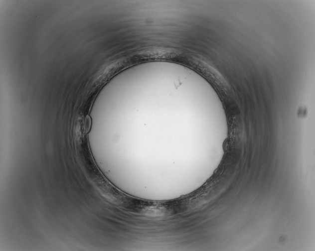 X0000099300119200805161358