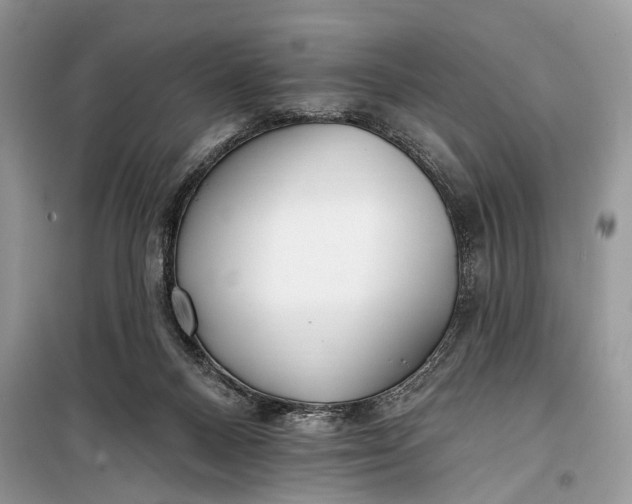 X0000099300120200805161358