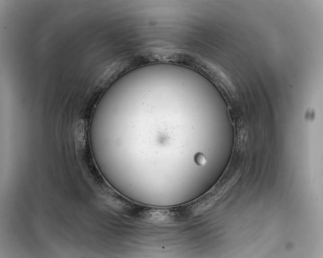 X0000099300121200805161358