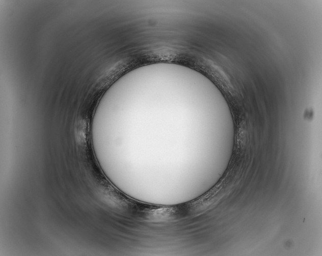 X0000099300122200805161358