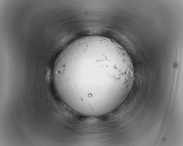 X0000099300123200805161358