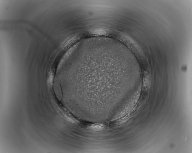 X0000099300124200805161358