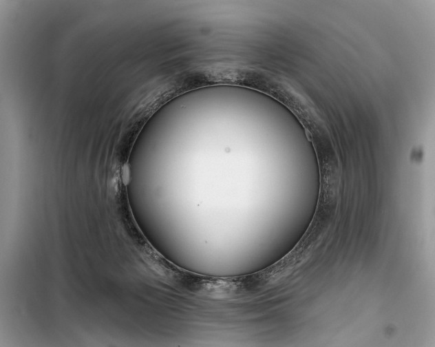 X0000099300125200805161358