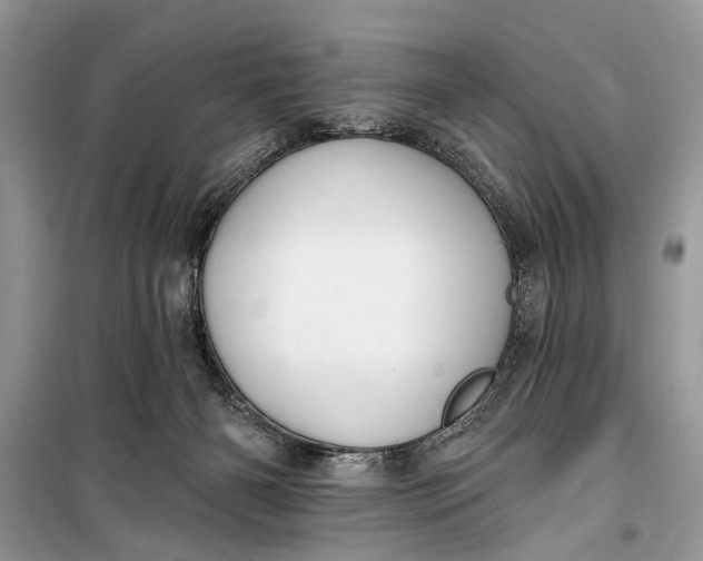 X0000099300126200805161358