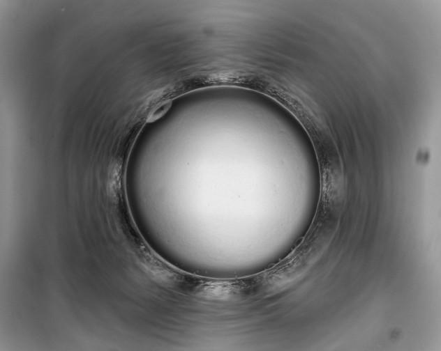 X0000099300127200805161358