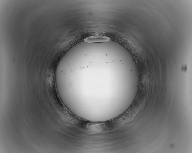 X0000099300129200805161358